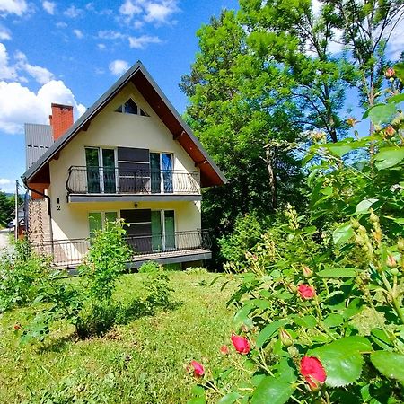 Apartamenty Nad Potokiem Krościenko Extérieur photo